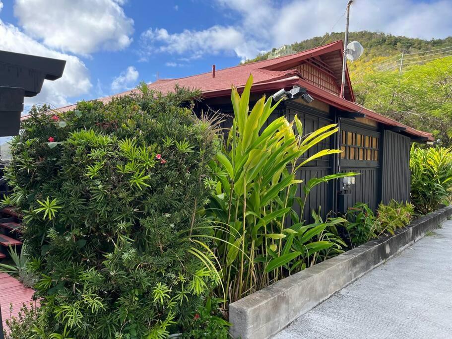 Mid-Century: Caribbean Style Apartment Contant  Exterior photo